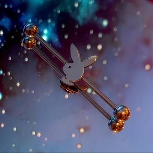 🐰 Playboy industrial barbell